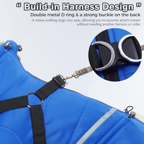 Hundemantel Wasserdicht, Warm Winterjacke für Mittlere Hunde Onesie Mantel mit Geschirr Winter Weste Jacke Hundepullover mit D-Rings(Blau, M)