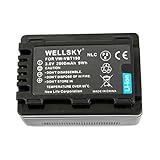 WELLSKY VW-VBT190-K VW-VBT190 互換バッテリー [ 純正充電器で充電可能 残量表示可能 純正品と同じよう使用可能 ] パナソニック