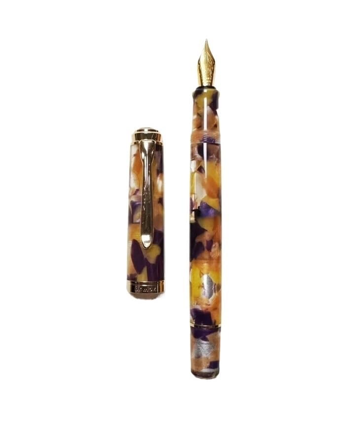 Stylo plume cadeau en acrylique n°5 avec mécanisme à piston Schmidt