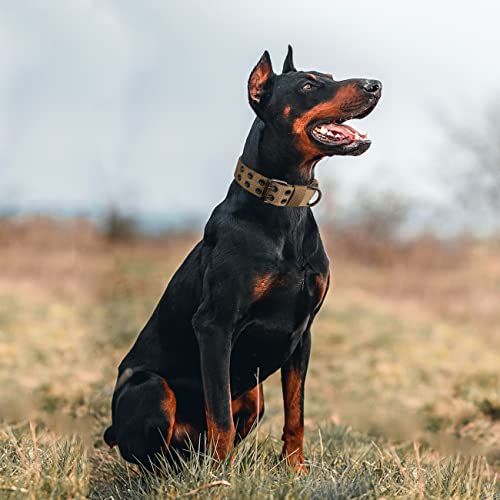 Taktisches Hundehalsband-Militärisches Hundehalsband verstellbares Nylon breit Trainings Halsband und strapazierfähige Metallschnalle Halsband für Mittlere Große Hunde