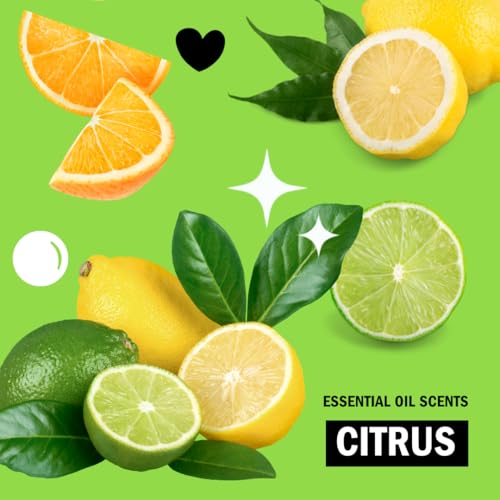 Molly's Suds Liquid Dish Soap | Clean, Simple Ingredients | Extra Scrubbing Power | Citrus Scent, 24 oz - 2 Pack - Image 6