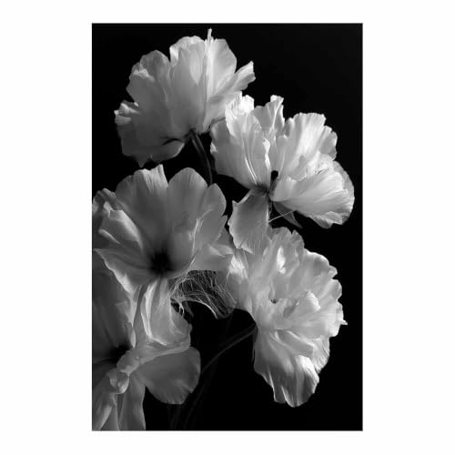 Tableau toile fleurs de pavot noir et blanc 70x100cm oeuvre murale artistique