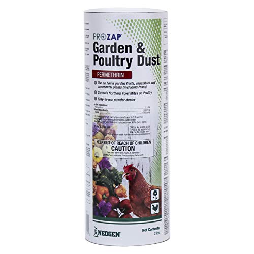 Best Dust Bath Setup and Mite Prevention for Chickens