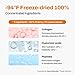 JEU'DEMEURE DermiShuttle Lifting Kit - Anti Aging Serum, Face Serum for Firming, Anti Wrinkle, Skin Elasticity, Hydrating with Collagen, Peptides, Korean Skincare (8 Weeks)