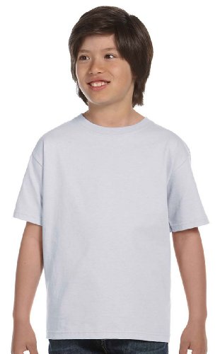 Hanes Boys' TAGLESS®, ComfortSoft®, Crewneck T-Shirt,X-Large, Ash