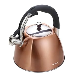 Fluitketel – 3 liter – RVS – Koper