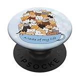 Cute Cat Overload A Taste Of My Life