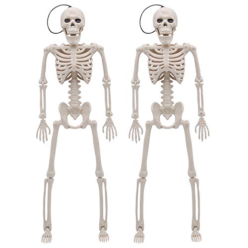 JOYIN 2 Packs 16" Posable Halloween Skeletons | Full Body Posable Joints Skeletons