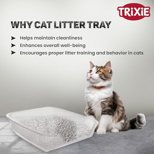 Image of Trixie Junior Nuno Cat Litter Tray, Recycled, Plastic, 28 x 9 x 36 cm, Small Animal Home Ensures Ease of Cleaning and Hygiene Maintenance (Color May Vary)