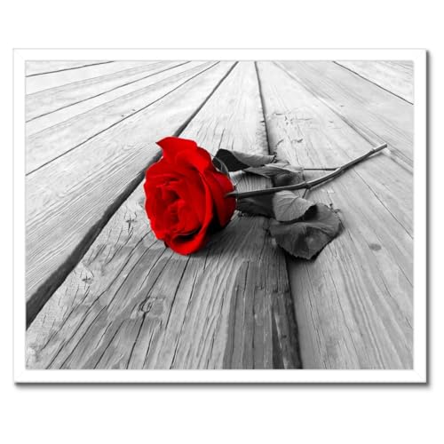 Rose rouge sur bois sous cadre noir 50 x 40 cm | Créez un salon romantique et chaleureux