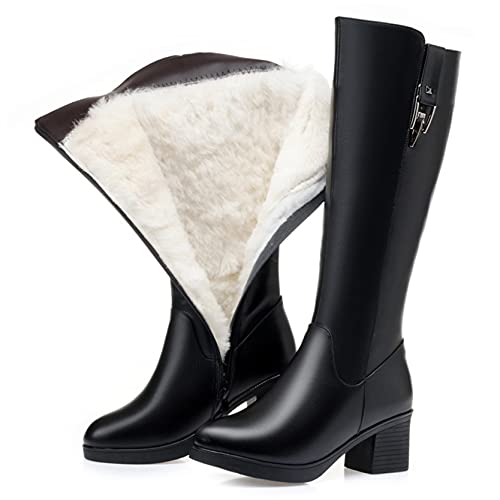 [_LV] nEB ubNi{Aj WbL[u[c Ou[c GWjA JWA H ~ v {A [gu[c EhgD ubN  傫TCY fB[XC u[eB nCJbg u[c RXv C 26.5cm 