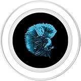 Zoom IMG-1 blu betta pesce e siamese Zoom IMG-1 blu betta pesce e siamese