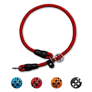Los Andes Zugstopper Retrieverhalsband 1.0 cm