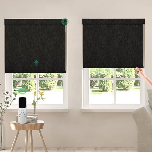 Allesin Motorized Shades with Dual Control, 100% Blackout Smart Motorized Roller Shades with App & Manual Control, Motorized Blinds Compatible with Alexa, Google, Custom Size (Jacquard Black)