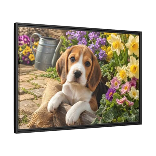 Toile Beagle réaliste pour égayer un mur vide, cadre noir 90x60 cm