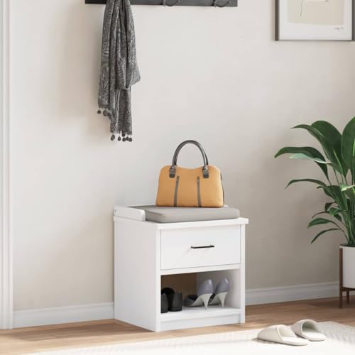 Banc à chaussures d'entrée gain de place avec rangement fermé - 3