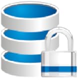Password Database (Pro Version)
