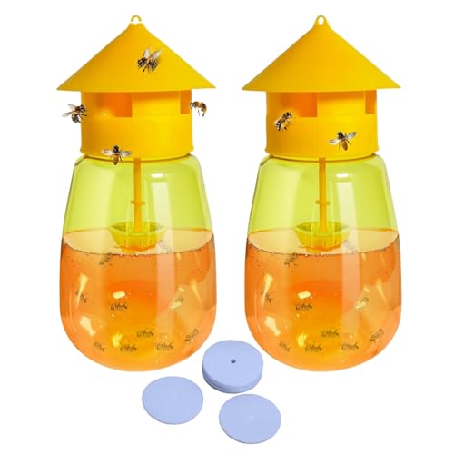 Fruktflugfälla för inomhusbruk, med 10 stycken pappersblock – giftfri skadedjursbekämpning i kök och fruktträdgård, effektiv fruktflugfälla, lätt