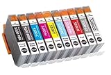 QUALITÉ PROFESSIONNELLE: Encres pigmentées haute précision offrant une restitution fidèle des couleurs, des noirs profonds et une excellente stabilité colorimétrique pour impressions photo, artistiques et graphiques