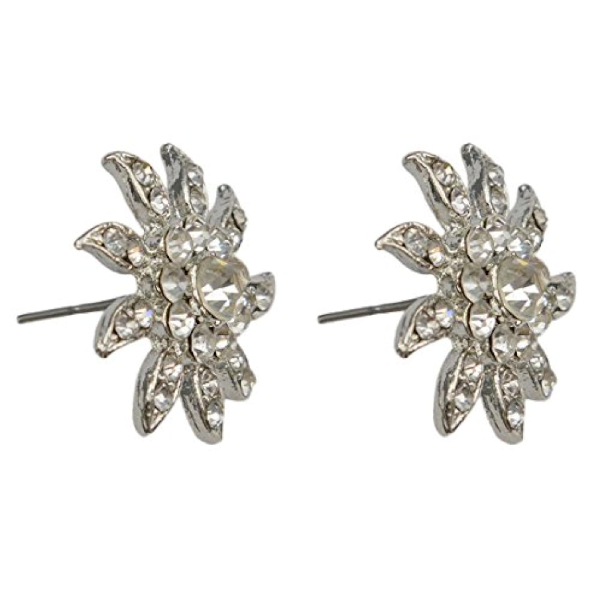 Casual Wear Studs Earrings For Women