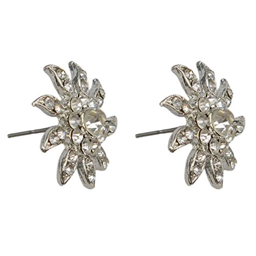 Casual Wear Studs Earrings For Women
