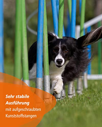 SPORTIKEL24 Agility-Slalom – Slalom für Turnier & Agility-Training – mit 12 Stangen & und Basis aus Metall – stabile Ausführung – FCI-konform – Set mit Tragetaschen