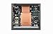 Denon DCD-A110 110-Year Anniversary Edition SACD Player (Silver Graphite)