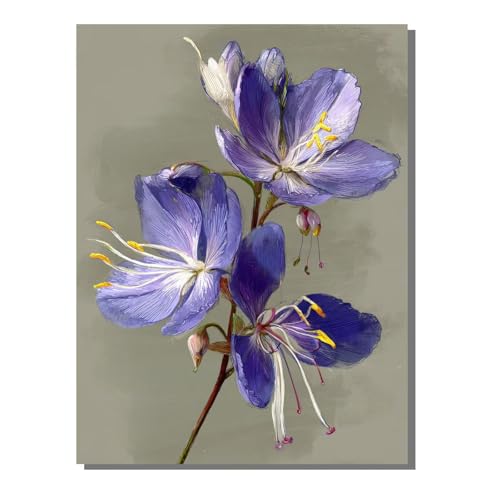 G  hG (t[X) l̎q̂߂̃Mtg ŃyCg SҌ LbgŃyCg fW^G A 50 x 70 cm uV36ANG̋Ă܂ DIY Paint by Numbers rO[ C