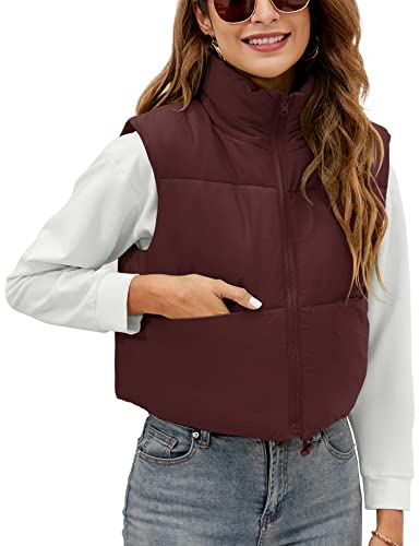 Akewei Women's Outerwear Vests Winter Warm Cropped Puffer Lightweight Sleeveless Coat Padded Zip Up Fashion Jacket (Wine Red,L) #TOP7