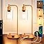 Homelist Dimmable Bedside Lamps Set of 2, Industrial Retro with USB Charging Ports, Black Modern LED Nightstand Desk Beside Table Lamp, Glass Shade for Bedroom Living Room Home Office, Bulb Included main image 1
