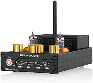 HiFi Stereo Bluetooth 5.0 Vacuum Tube Amplifier MM Phono Amp for Turntables 320W