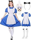 CICOCI Adult Halloween Costume Womens Fairy Tales Charactor Blue Dress Cosplay Full Set