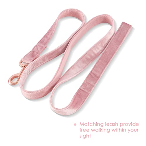 Bubblepupvelvetdogcollarandleashsetdogcollarsforsmallmediumlargedogsleashfortrainingwalking  Urban Country Home Decor Bubblepup velvet dog collar and leash set dog collars for small medium large dogs leash for training walking  urban country home decor