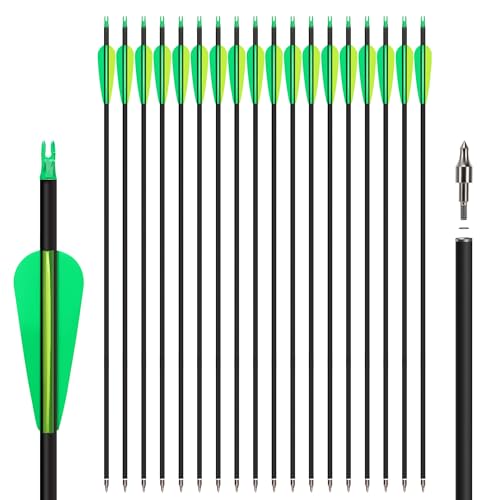 NorthSpoor 30' 18Pcs Archery Carbon Arrows Practice Hunting Arrow with Removable Tips Shaft Spine 500 for Both Compound Bow and Recurve Bows
