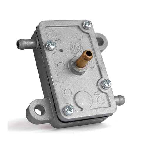 Kit d'alimentation en essence 403800800 pièce de rechange moteur 50 60 440