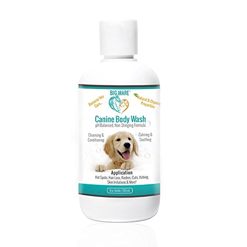 Dog Medicated Shampoo & Body Wash | Soothing, Anti-Itch, Treats Canine Dermatitis, Hair Loss & More | Veterinary Approved & Recommended Non-Sting Formula 8oz Dog Medicated Shampoo & Body Wash | Soothing, Anti-Itch, Treats Canine Dermatitis, Hair Loss & More | Veterinary Approved & Recommended Non-Sting Formula 8oz