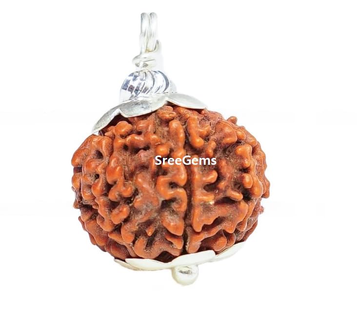 SreeGems 8 Mukhi Rudraksha Original Certified 8 Face Rudraksha Nepal 8 मुखी रुद्राक्ष Aath Mukhi Rudraksah with Silver Capping Eight Mukhi Rudraksha Blessed by Lord Ganesh 8 Mukhi Rudraksha Pendant-picture-19