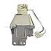 Jaspertronics™ OEM 5J.J9R05.001 Lamp & Housing for BenQ Projectors with Philips Bulb Inside - 240 Day Warranty