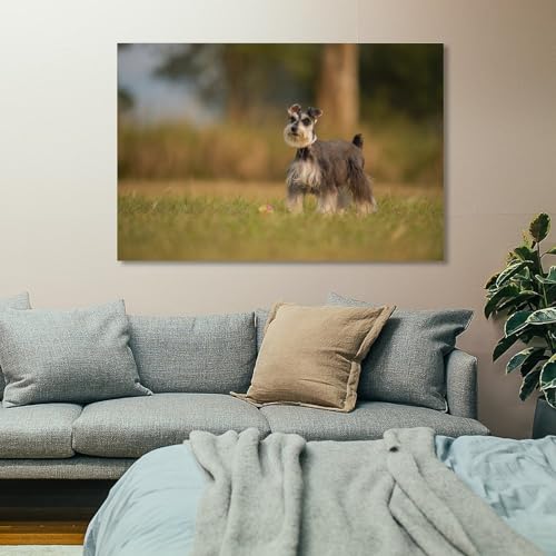 Poster Schnauzer de qualité supérieure - Impression sur toile d'art 60x90 - 7