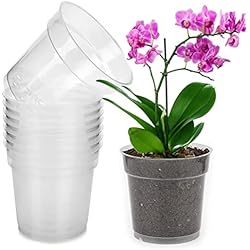 Macetas Para Orquídeas Carrefour gueche 8 Pieza Maceta de Plástico Transparente, Maceta de Plásticos para Orquídeas con Agujeros de Drenaje Reutilizable, Ø 11.5 cm Maceta Orquidea Transparente para Balcón Interior y Exterior