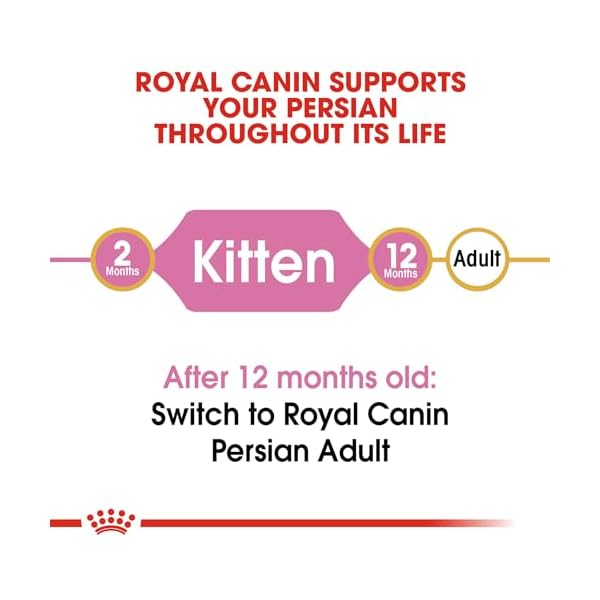 ROYAL CANIN Breed Health Nutrition Persian Kitten Dry cat Food, 3-Pound by Royal Canin – Bild 8