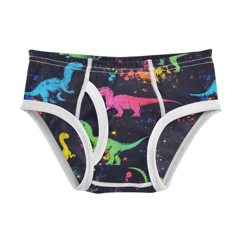 Wusikd Colorful Dinosaurs Boys' Underwear Cotton Funny Boys Briefs Soft Toddler Underwear 2T