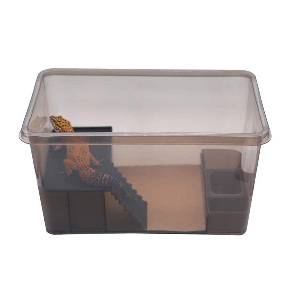 Terrario para Reptiles Incubadora de Calefacción Transparente para Mascotas Hábitat Anfibio Lagarto Camaleón Terrario de Serpiente Araña Fácil de Mover (Negro 29,5 * 14,7 * 15,2 cm)