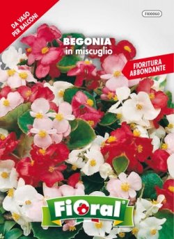 L'Ortolano Semences de fleur de qualité en sachet pour utilisation amateur