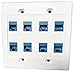DIYTECH 8 Port Ethernet Wall Plate, Cat 6, Double Gang, RJ45 Female to Female Keystone Jacks - White
