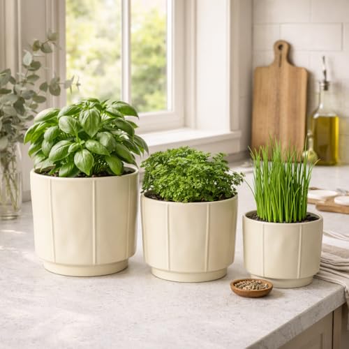 Image of Xtore Linea Ceramic Planter Set | Minimal Straight-Line Plant Pots for Home & Office Decor - (Set of 3, Cream, Planter ONLY)