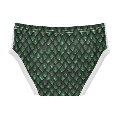 Boys' Exclusive Briefs Toddler Underwear 95% Combed Cotton Boxerbriefs 2T Dragon Scale Pattern 42