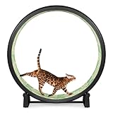 One Fast Cat - Cat Exercise Wheel - Gen. 7 - Safe 48" Diameter - Made in The USA - Black Wheel with Jungle Leaves Foam Traction Pads and Solid Black Inline Wheels