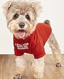 Cute Dog Clothes,Dog T Shirt for Medium Dogs.Dog Clothes for Small Dogs Girl Boy,Puppy.Breathable Soft Dog Costume Pet Dogs Cats,Pet Pullover Jumper,Cat Clothes (XL-(16~20lb), Chest~20', Red, Parents)