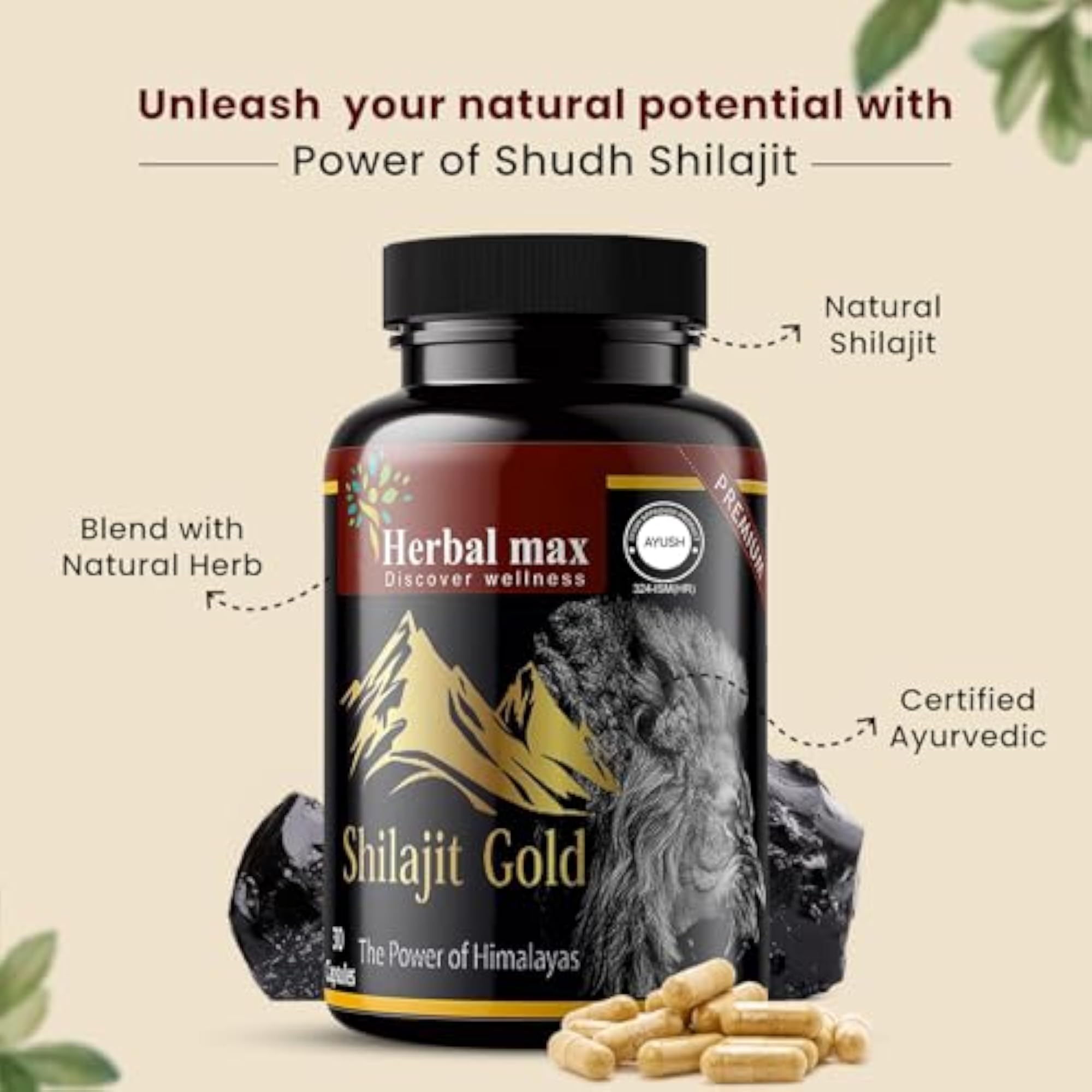 Himalayan Shilajit Capsules, 30 Caps